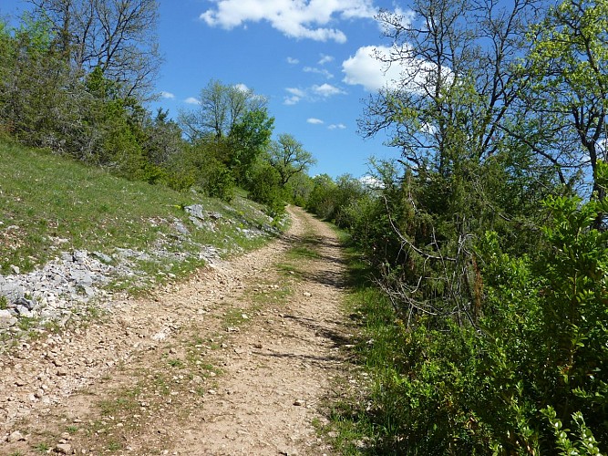 Lacave - Montée sur le causse _14 © Lot Tourisme - C. Sanchez
