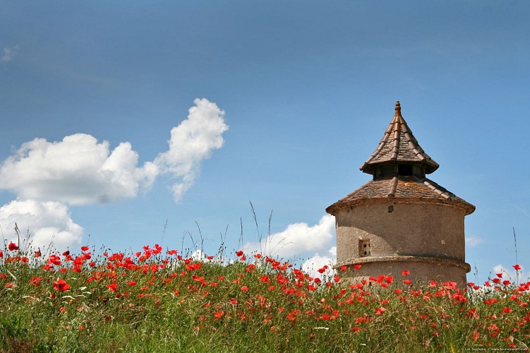 Lalbenque  - Pigeonnier 