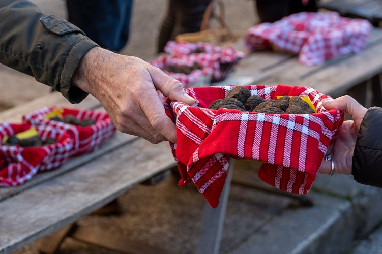 Marché aux truffes