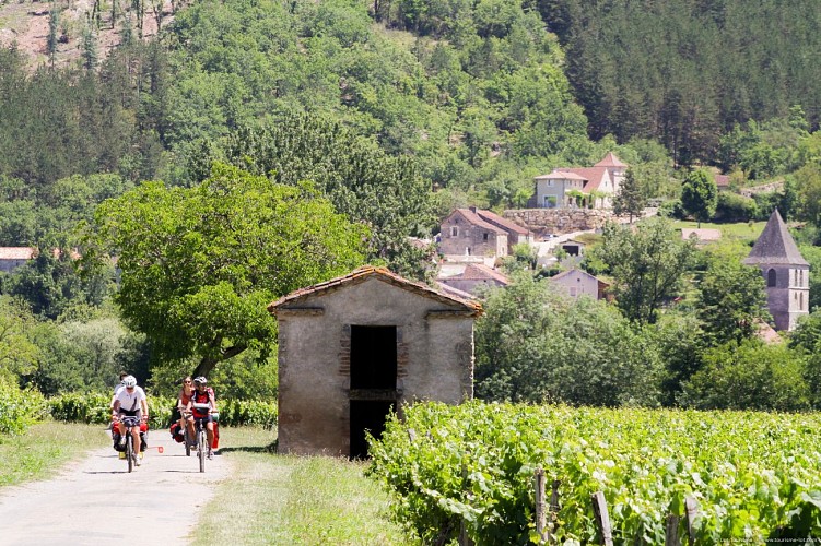 Luzech - A vélo dans les vignes  