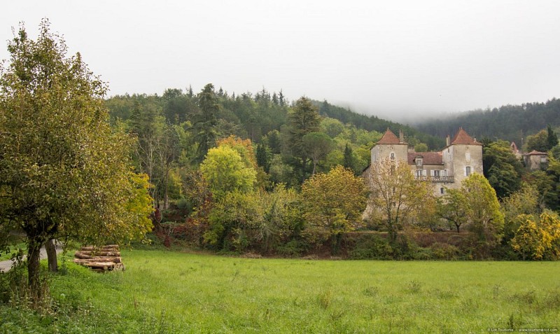 St Vincent Rive D'Olt - Château  