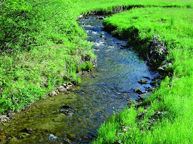 Sousceyrac : Ruisseau du Cayla 