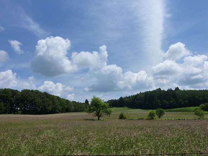 _21 © Lot Tourisme - C. Sanchez