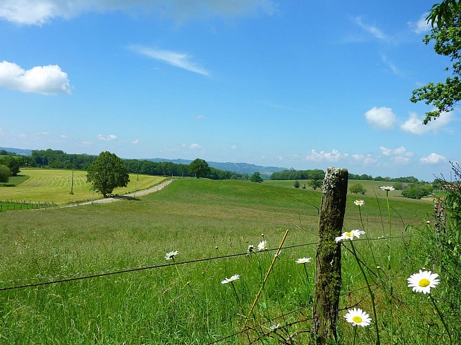 Courbou - Paysage du Ségala _08 © Lot Tourisme - C. Sanchez