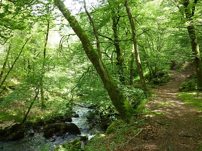 Fournol - Le long du ruisseau Cayla_15 © Lot Tourisme - C. Sanchez
