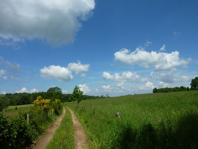 Lacam d'Ourcet - Entres parcelles agricoles _06 © Lot Tourisme - C. Sanchez