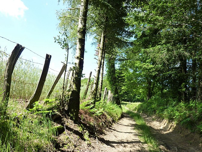 Lacam d'Ourcet - Sous bois_07 © Lot Tourisme - C. Sanchez