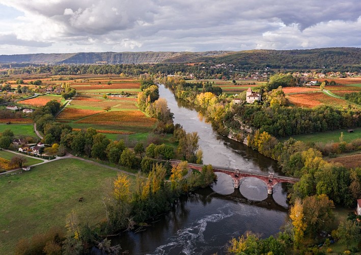 Vignoble de Cahors en automne à Douelle