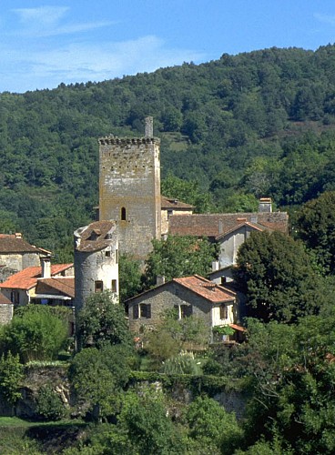 Vestiges du Fort médiéval à cardaillac