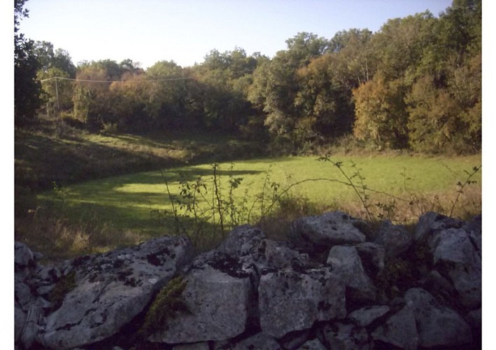 Circuit un paysage façonné par la brebis - espédaillac
