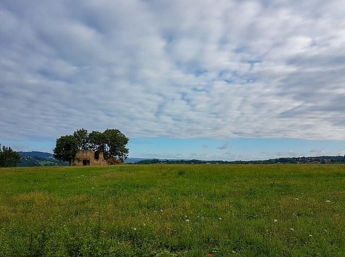 Vue sur la campagne Figeacoise © Lot Tourisme - A. Leconte 180721-092142