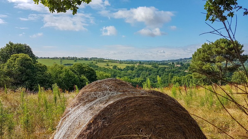 Vue sur la campagne Figeacoise © Lot Tourisme - A. Leconte 180721-102149