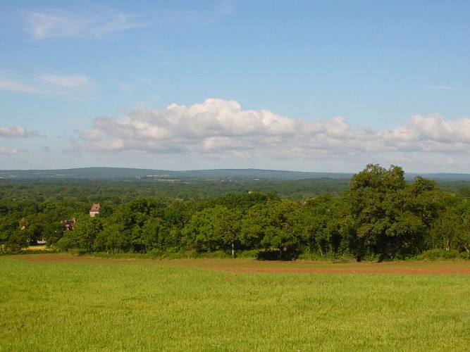 Paysage de Limargue