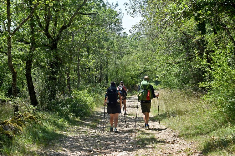 210719_Pèlerins sur le chemin à Limogne GR65 
