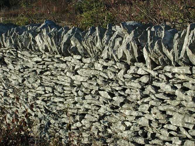 Muret Pierres Sèches