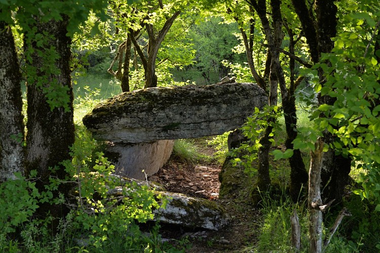 Dolmen de Joncas