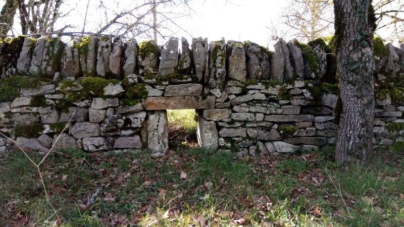 Murets du causse - PR Les Dolmens de Limogne en Quercy