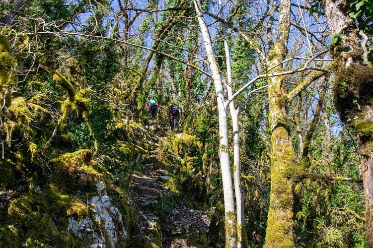 Sentier karstique et de Crégols karstique de Crégols
