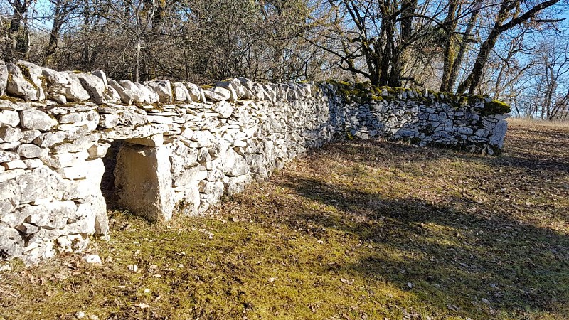 Muret en pierre du causse