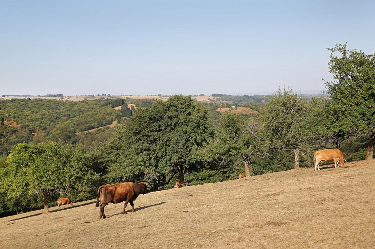 Saint-Perdoux, paysages