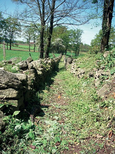 Murets de Pierres sèches