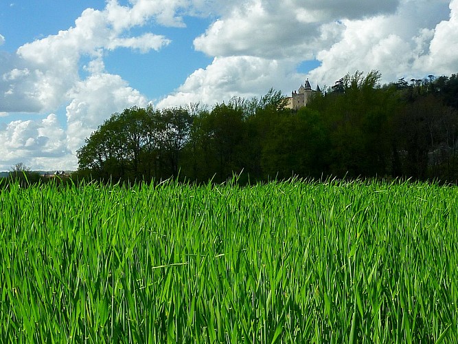 Les Couailloux - Chateau de Mercues reignant sur le bosquet © Lot Tourisme - C. Sanchez