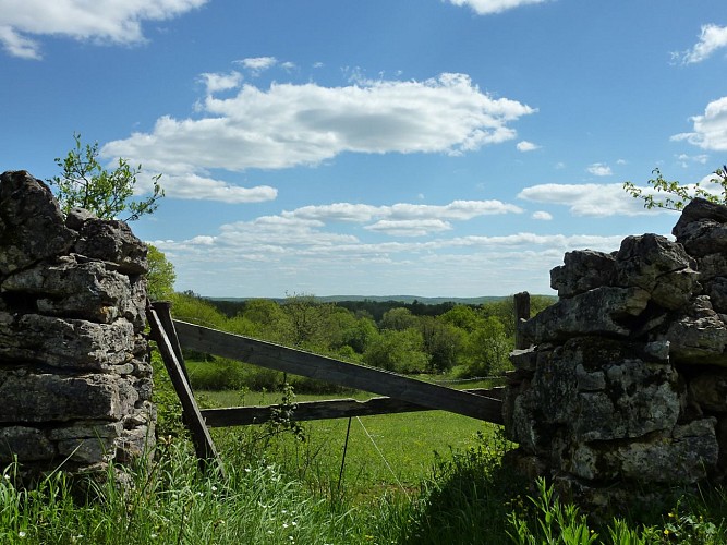 Assier - Clairière _11 © Lot Tourisme - C. Sanchez