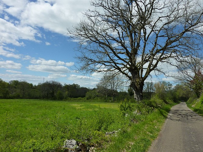 Assier - Balade autour de prairies verdoyantes_07 © Lot Tourisme - C. Sanchez