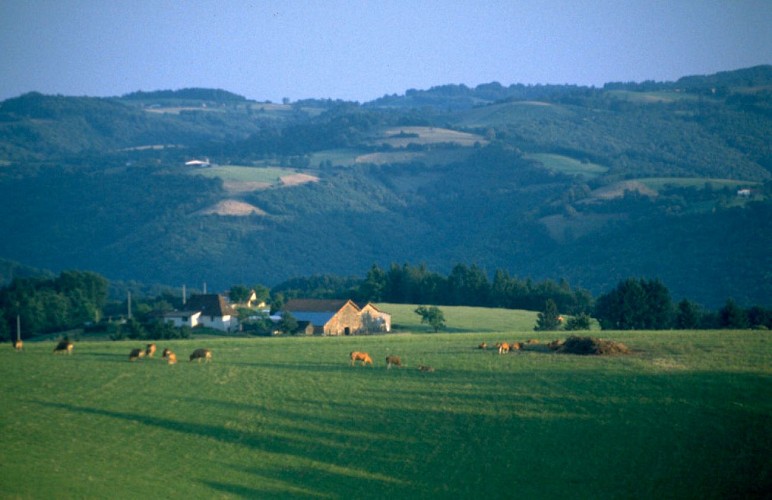 Panorama sur le Haut Ségala