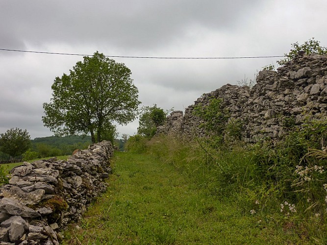 Combes hautes - murets de pierre seche_08 © Lot Tourisme - C. Sanchez