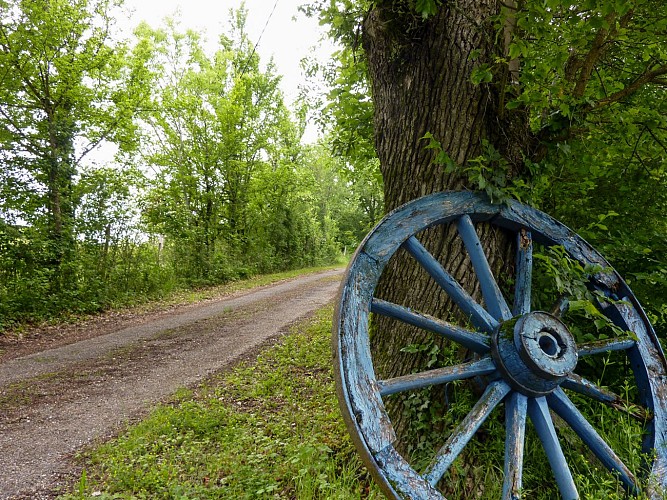 la Cavalère - Balade sur le causse_12 © Lot Tourisme - C. Sanchez