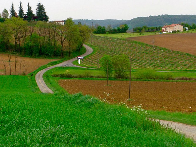 Vallée du Lendou