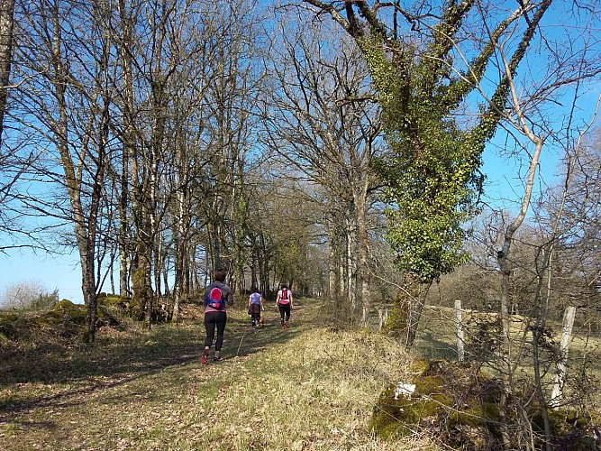 Aynac - Chemin et Muret