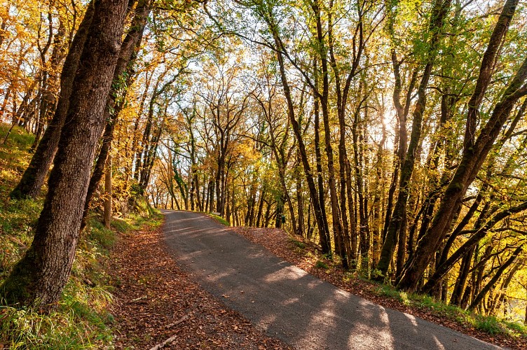 Route d'Automne Concores