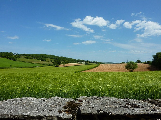 le Mas Delfour - Campagne lotoise_10 © Lot Tourisme - C. Sanchez