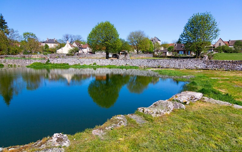 Près du Lac de Reilhac 