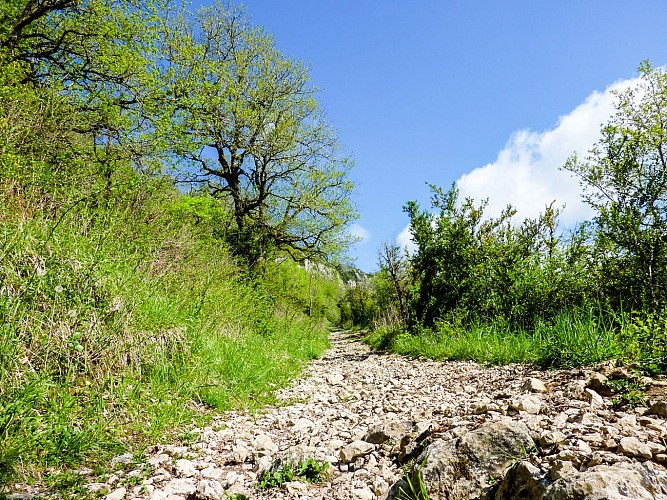 Lacaunhe - Sentier de pierres montant sur le Roc Rouge © Lot Tourisme - C. Sanchez