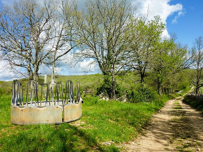 Le Teuron - Mangeoir pour bovins © Lot Tourisme - C. Sanchez