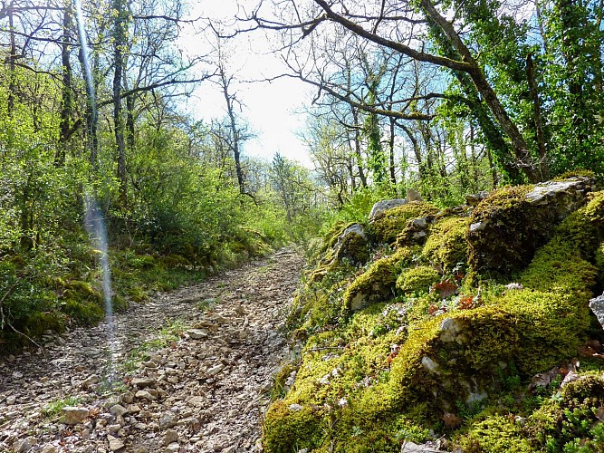 Rocaille - Montée sur le combe de Girons © Lot Tourisme - C. Sanchez