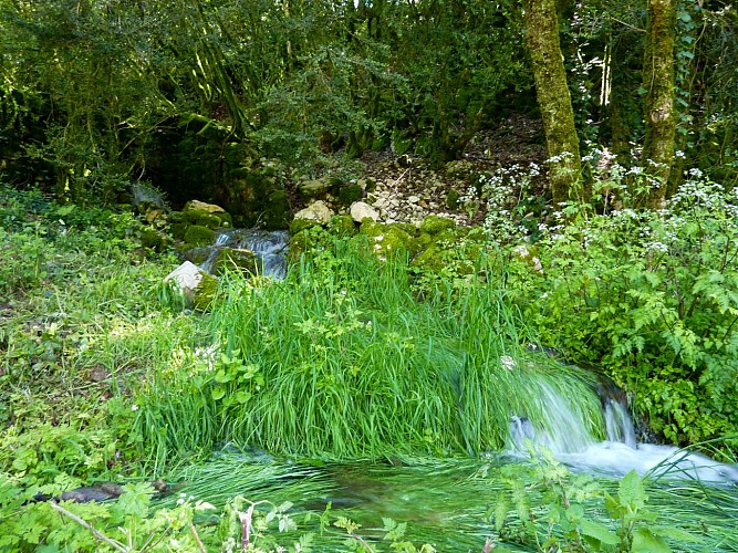 Semberot - Ruisseau de Verboul en cascade © Lot Tourisme - C. Sanchez