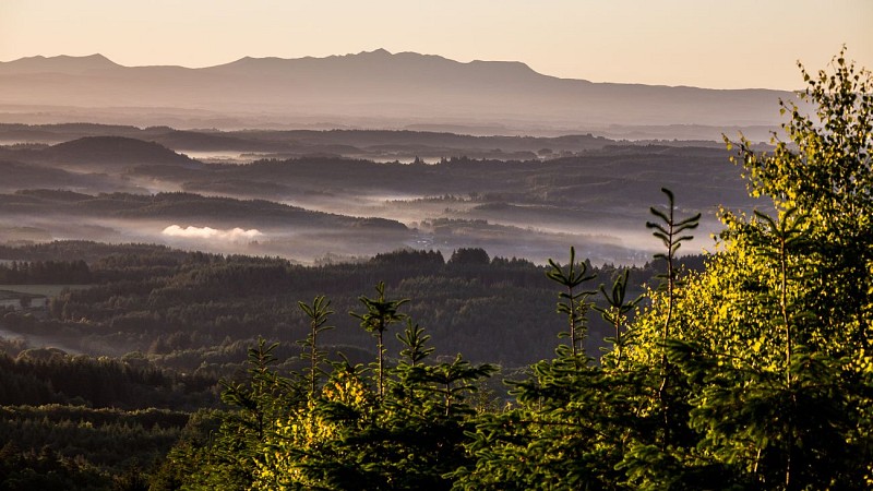 Peret_bel_air_nature-2016 (56)