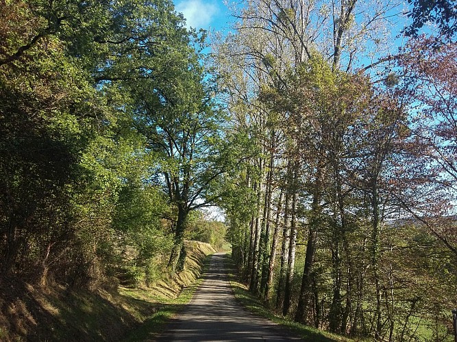 Passage goudronné - circuit le chemin aux deux visages_08 © Lot Tourisme - A. Leconte