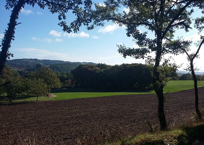 Terres cultivées - paysages du Limargues_09 © Lot Tourisme - A. Leconte