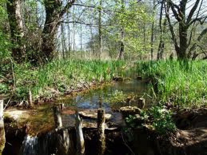 Marais de Bonnefont