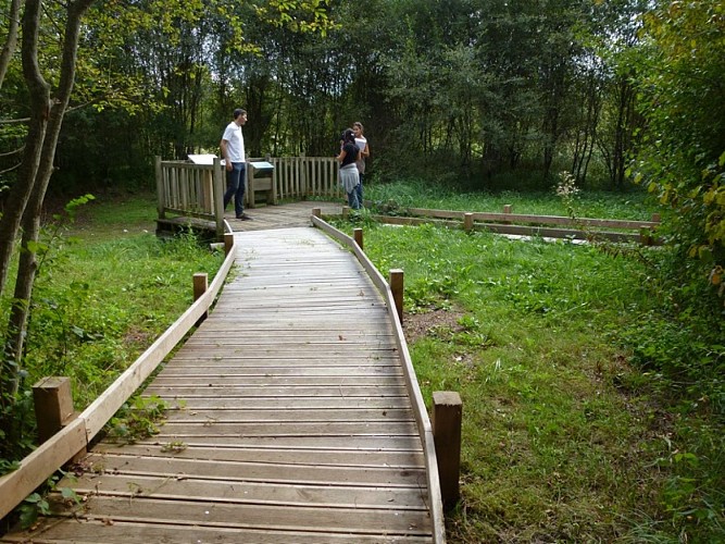 Marais de Bonnefont - Mayrinhac lentour