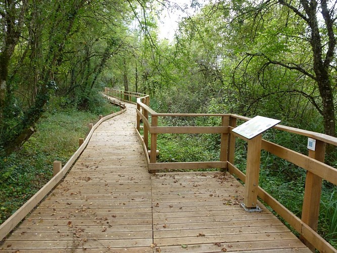 Sentier d'Interprétation au Marais de Bonnefont 