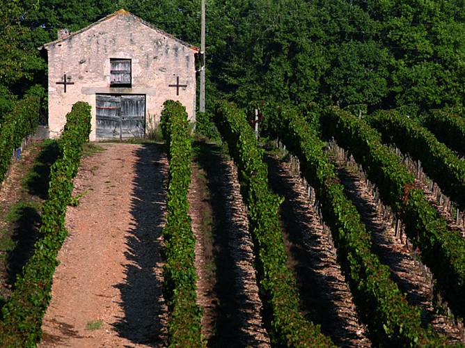 Cabane de Vigne dans le Vignoble