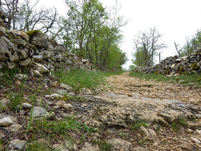 Néguebout - Chemin de pierre blanche © Lot Tourisme - C. Sanchez