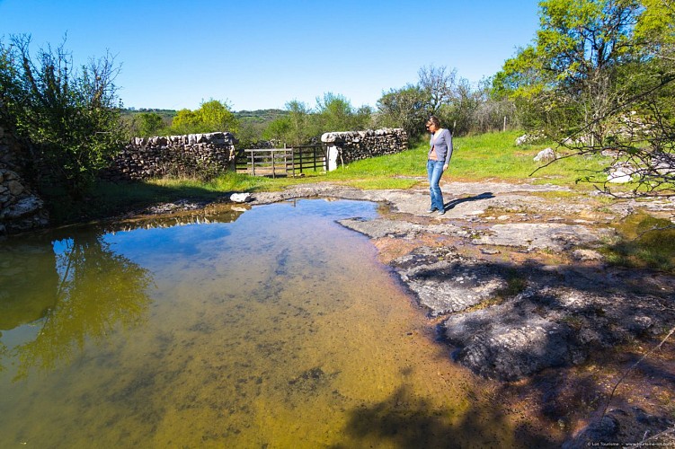Lac de Saint-Namphaise 
