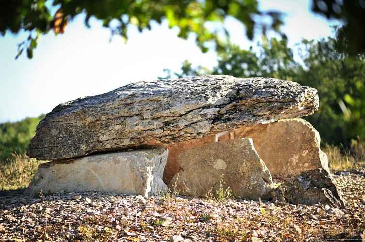 Gréalou - Dolmen de Pech Laglaire  